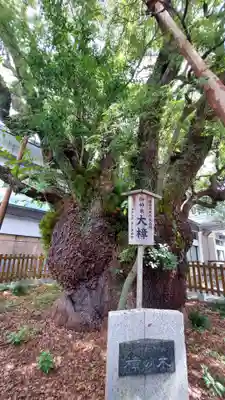 富知六所浅間神社(静岡県)