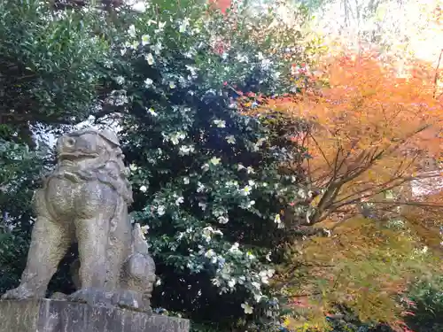 赤坂氷川神社の狛犬