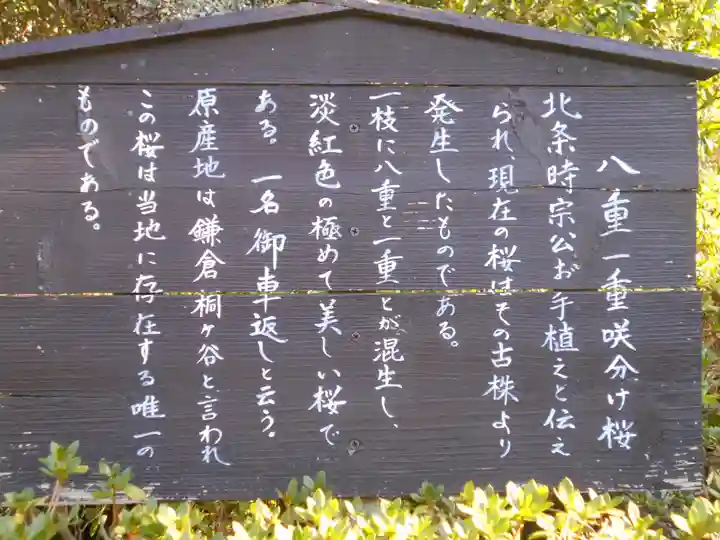 極楽寺(霊鷲山感應院極楽律寺)の歴史