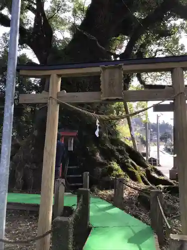 山宮神社の鳥居