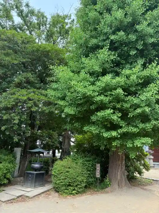 三会寺の{uncategorized: "未分類", other: "その他", undefined: "問題あり", building: "その他建物", grave: "お墓", sacred_gate: "鳥居", guardian: "狛犬", statue: "像", buddha: "仏像", history: "歴史", nature: "自然", garden: "庭園", animal: "動物", pagoda: "塔", temizu: "手水舎", mountain_gate: "山門・神門", sanctuary: "本殿・本堂", subordinate: "末社・摂社", art: "芸術", scenery: "景色", jizo: "地蔵", ema: "絵馬", goshuin: "御朱印", omikuji: "おみくじ", items: "授与品その他", amulet: "お守り", goshuincho: "御朱印帳", eats: "食事", festival: "お祭り", votive_dance: "神楽", shichigosan: "七五三参", wedding: "結婚式", experience: "体験その他", initially: "初詣", around: "周辺", anti_infection: "感染症対策"}