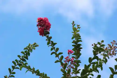 国宝 大法寺の自然