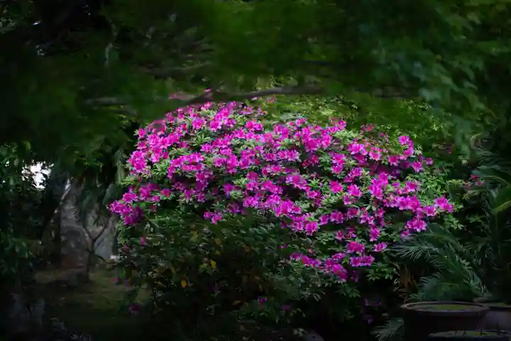伊勢の国 四天王寺(三重県)