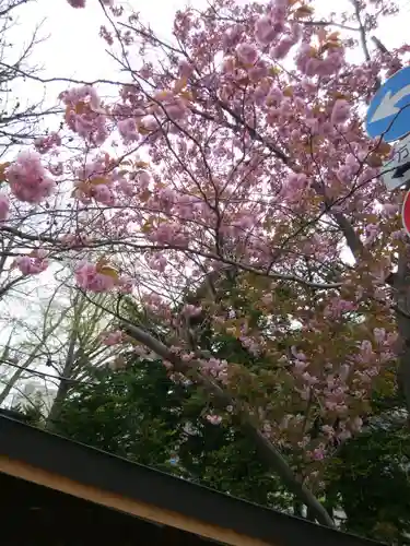 札幌諏訪神社の自然