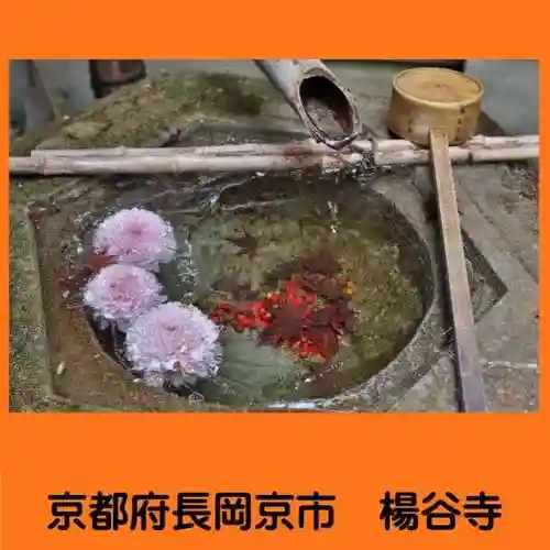 柳谷観音　楊谷寺の手水舎