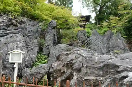 石山寺の自然