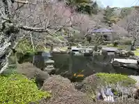 長谷寺(神奈川県)