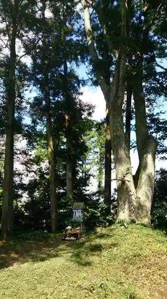 斗瑩稲荷神社のその他建物