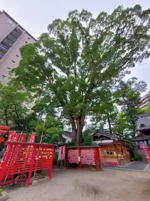 菅生神社(愛知県)