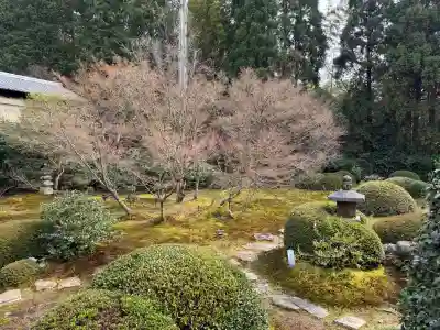 雲龍院の{uncategorized: "未分類", other: "その他", undefined: "問題あり", building: "その他建物", grave: "お墓", sacred_gate: "鳥居", guardian: "狛犬", statue: "像", buddha: "仏像", history: "歴史", nature: "自然", garden: "庭園", animal: "動物", pagoda: "塔", temizu: "手水舎", mountain_gate: "山門・神門", sanctuary: "本殿・本堂", subordinate: "末社・摂社", art: "芸術", scenery: "景色", jizo: "地蔵", ema: "絵馬", goshuin: "御朱印", omikuji: "おみくじ", items: "授与品その他", amulet: "お守り", goshuincho: "御朱印帳", eats: "食事", festival: "お祭り", votive_dance: "神楽", shichigosan: "七五三参", wedding: "結婚式", experience: "体験その他", initially: "初詣", around: "周辺", anti_infection: "感染症対策"}