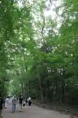 賀茂御祖神社（下鴨神社）の建物その他