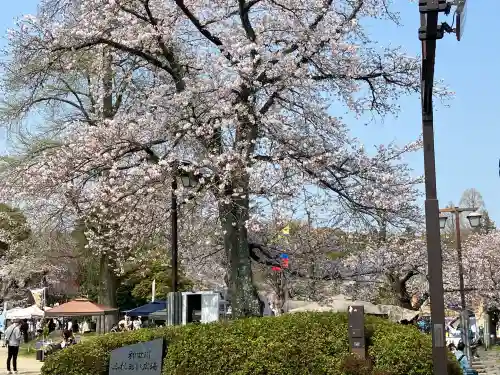 富士山本宮浅間大社の{uncategorized: "未分類", other: "その他", undefined: "問題あり", building: "その他建物", grave: "お墓", sacred_gate: "鳥居", guardian: "狛犬", statue: "像", buddha: "仏像", history: "歴史", nature: "自然", garden: "庭園", animal: "動物", pagoda: "塔", temizu: "手水舎", mountain_gate: "山門・神門", sanctuary: "本殿・本堂", subordinate: "末社・摂社", art: "芸術", scenery: "景色", jizo: "地蔵", ema: "絵馬", goshuin: "御朱印", omikuji: "おみくじ", items: "授与品その他", amulet: "お守り", goshuincho: "御朱印帳", eats: "食事", festival: "お祭り", votive_dance: "神楽", shichigosan: "七五三参", wedding: "結婚式", experience: "体験その他", initially: "初詣", around: "周辺", anti_infection: "感染症対策"}