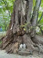 帯廣神社(北海道)