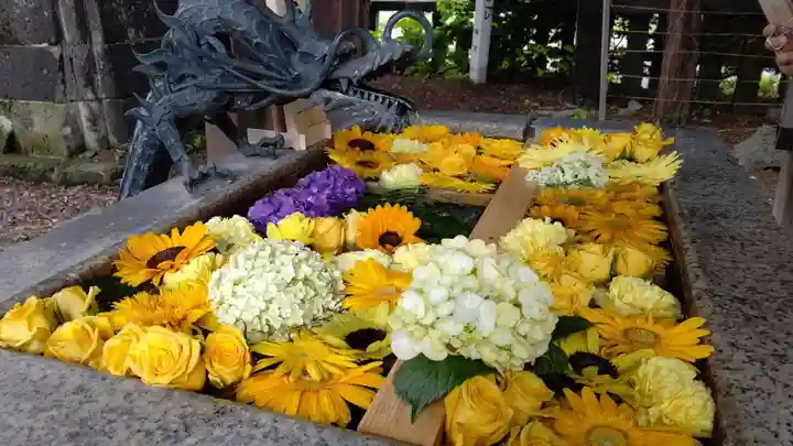 札幌諏訪神社の手水舎