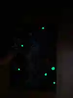 曽根神社の御朱印