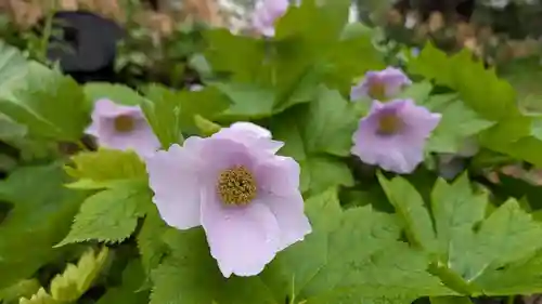 極楽寺(北海道)