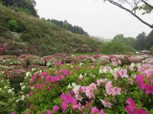 三室戸寺の景色