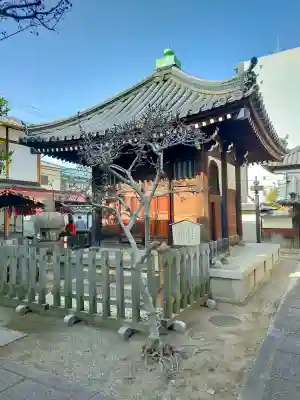 本興寺の{uncategorized: "未分類", other: "その他", undefined: "問題あり", building: "その他建物", grave: "お墓", sacred_gate: "鳥居", guardian: "狛犬", statue: "像", buddha: "仏像", history: "歴史", nature: "自然", garden: "庭園", animal: "動物", pagoda: "塔", temizu: "手水舎", mountain_gate: "山門・神門", sanctuary: "本殿・本堂", subordinate: "末社・摂社", art: "芸術", scenery: "景色", jizo: "地蔵", ema: "絵馬", goshuin: "御朱印", omikuji: "おみくじ", items: "授与品その他", amulet: "お守り", goshuincho: "御朱印帳", eats: "食事", festival: "お祭り", votive_dance: "神楽", shichigosan: "七五三参", wedding: "結婚式", experience: "体験その他", initially: "初詣", around: "周辺", anti_infection: "感染症対策"}