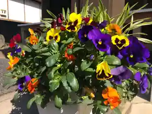 信行寺(福岡県)(2021年05月07日(金) 09時25分45秒投稿)