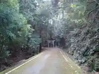 島大国魂神社の鳥居