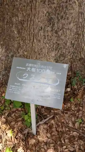 八幡社（下門八幡社）の自然