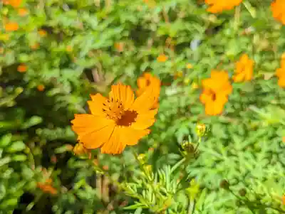 柳谷観音　楊谷寺(京都府)