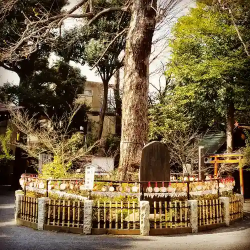 七社神社の自然