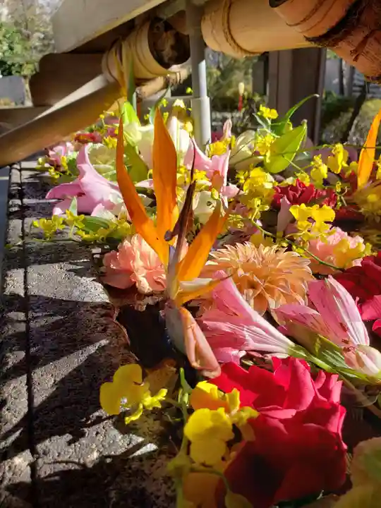 鳩森八幡神社の手水舎