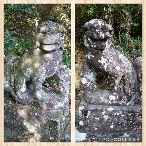 朝倉神社の狛犬