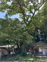 都農神社(宮崎県)