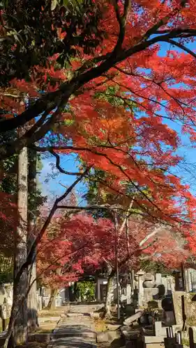 西雲院(京都府)