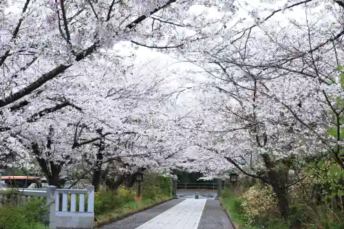 高麗神社の{uncategorized: "未分類", other: "その他", undefined: "問題あり", building: "その他建物", grave: "お墓", sacred_gate: "鳥居", guardian: "狛犬", statue: "像", buddha: "仏像", history: "歴史", nature: "自然", garden: "庭園", animal: "動物", pagoda: "塔", temizu: "手水舎", mountain_gate: "山門・神門", sanctuary: "本殿・本堂", subordinate: "末社・摂社", art: "芸術", scenery: "景色", jizo: "地蔵", ema: "絵馬", goshuin: "御朱印", omikuji: "おみくじ", items: "授与品その他", amulet: "お守り", goshuincho: "御朱印帳", eats: "食事", festival: "お祭り", votive_dance: "神楽", shichigosan: "七五三参", wedding: "結婚式", experience: "体験その他", initially: "初詣", around: "周辺", anti_infection: "感染症対策"}