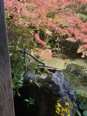 蓮華寺（洛北蓮華寺）(京都府)