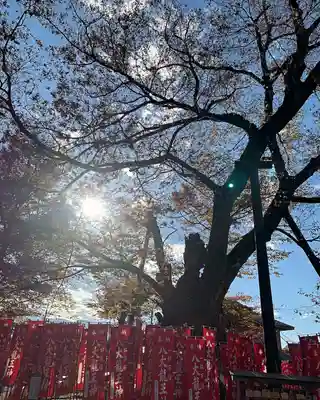 秩父今宮神社(埼玉県)