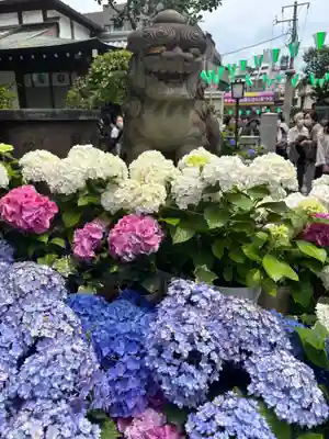 白山神社(東京都)