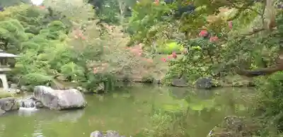 成田山新勝寺(千葉県)