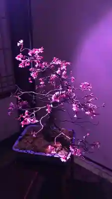 大阪天満宮のその他建物