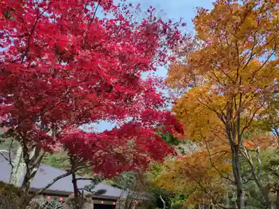 佛光山本栖寺(山梨県)