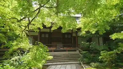常寂光寺(京都府)