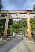 櫻山八幡宮の鳥居