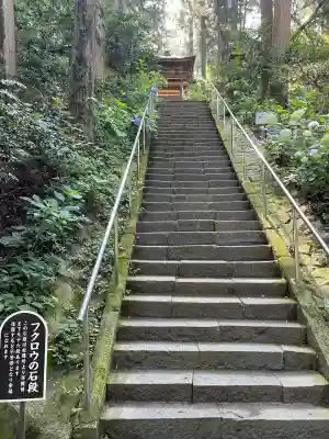 鷲子山上神社(栃木県)