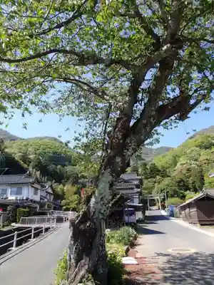 阿須伎神社（出雲大社摂社）の自然