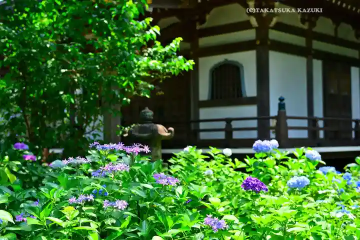 妙楽寺(神奈川県)