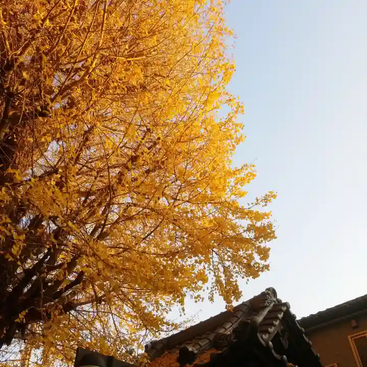 稼穡稲荷社の自然