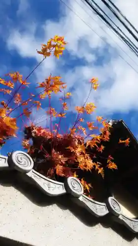 若宮神明社の自然