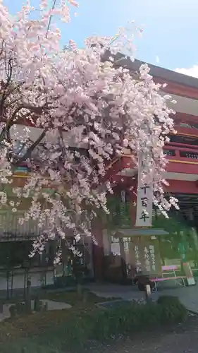 秩父神社の自然