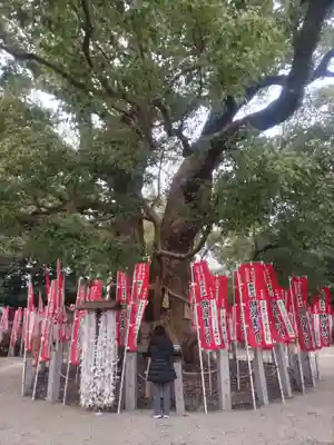 楠珺社(住吉大社末社)の御朱印