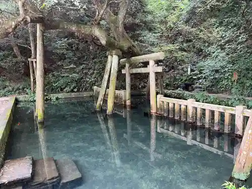 鹿島神宮(茨城県)
