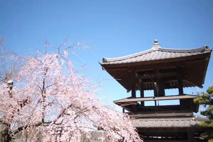 円光寺のその他建物