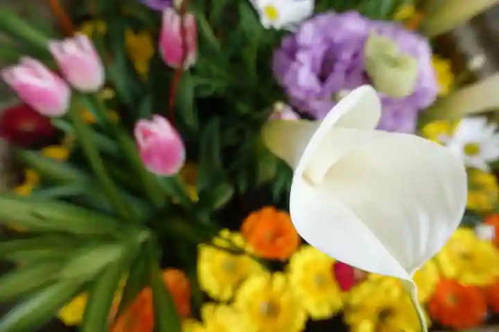 北野天満宮の手水舎